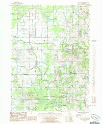 Sand Lake SW 1985 topographic map thumbnail