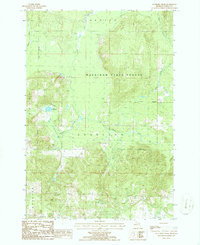 Saunders Creek 1986 topographic map thumbnail