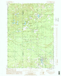 South Boardman 1985 topographic map thumbnail