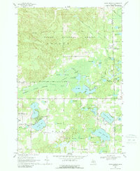 South Branch 1968 topographic map thumbnail