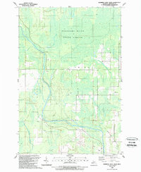Swimming Hole Creek 1989 topographic map thumbnail