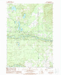 Tallman 1987 topographic map thumbnail