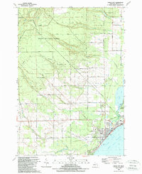 Tawas City 1989 topographic map thumbnail