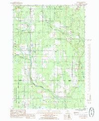 Trenary 1985 topographic map thumbnail