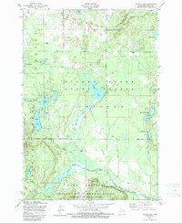 Turtle Lake 1950 topographic map thumbnail