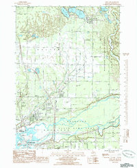 Twin Lake 1985 topographic map thumbnail
