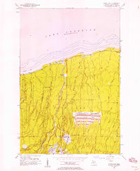 White Pine 1956 topographic map thumbnail