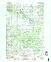Wiley 1983 topographic map preview