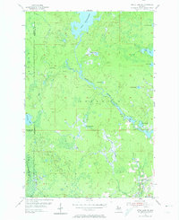 Witch Lake NE 1955 topographic map thumbnail