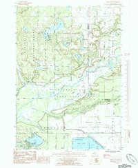 Wolf Lake 1985 topographic map thumbnail