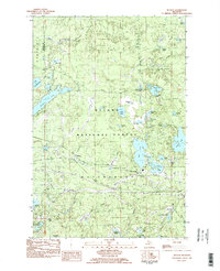 Beaton 1982 topographic map thumbnail