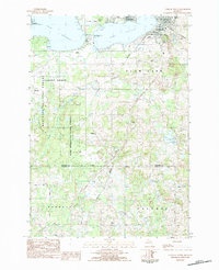 Cadillac South 1983 topographic map thumbnail