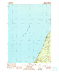 Manistee NW 1982 topographic map thumbnail