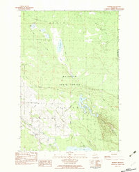 Manning 1982 topographic map preview