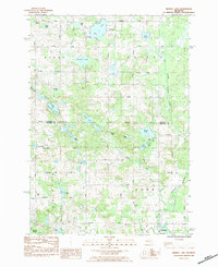Merrill Lake 1984 topographic map thumbnail