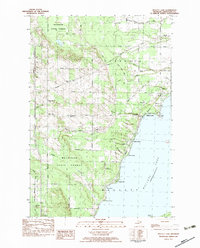 Mullett Lake 1982 topographic map thumbnail