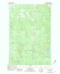 Paulding 1982 topographic map thumbnail