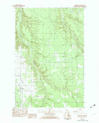 Paynesville 1982 topographic map preview