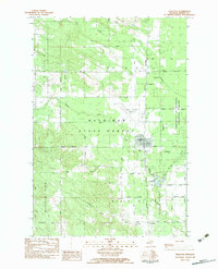 Pellston 1982 topographic map thumbnail