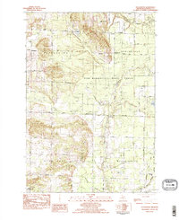 Pleasanton 1982 topographic map thumbnail