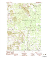 Pleasanton 1982 topographic map thumbnail