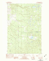 Rousseau 1982 topographic map thumbnail