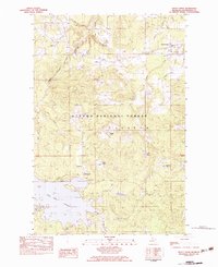 Trout Creek 1982 topographic map thumbnail