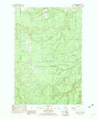 Vista Falls 1982 topographic map thumbnail