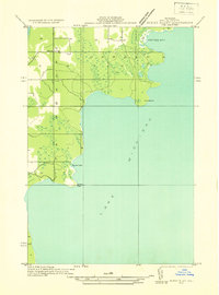 Burnt Bluff NE topographic map thumbnail