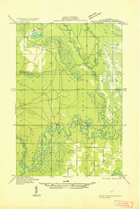 Manistique River SW topographic map thumbnail