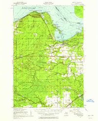 Brimley 1951 topographic map preview
