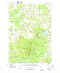 Copemish 1957 topographic map thumbnail