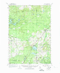 Fife Lake 1956 topographic map thumbnail