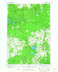 Fife Lake 1956 topographic map thumbnail