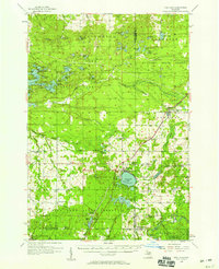 Fife Lake 1956 topographic map thumbnail