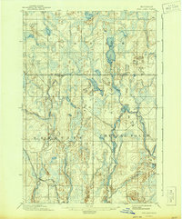 Ned Lake 1895 topographic map thumbnail