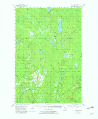 Ned Lake 1955 topographic map thumbnail