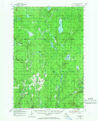 Ned Lake 1955 topographic map thumbnail