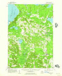 Pellston 1958 topographic map thumbnail