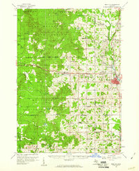 Reed City 1959 topographic map thumbnail