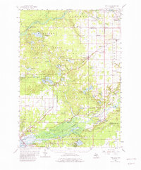 Twin Lake 1958 topographic map thumbnail