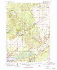 Twin Lake 1958 topographic map thumbnail