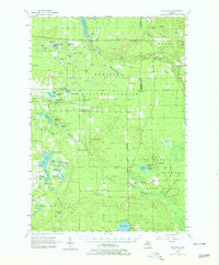 Wellston 1957 topographic map thumbnail