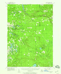 Wellston 1957 topographic map thumbnail
