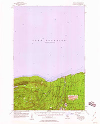 White Pine 1956 topographic map thumbnail