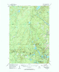 Witch Lake 1955 topographic map thumbnail