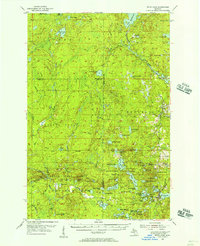 Witch Lake 1955 topographic map thumbnail