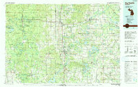 Big Rapids 1991 topographic map thumbnail