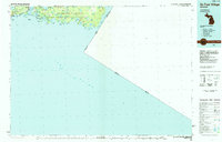 De Tour Village 1984 topographic map thumbnail