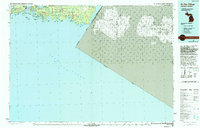 De Tour Village 1984 topographic map thumbnail